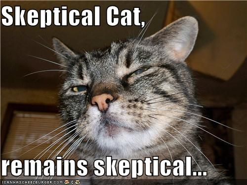skeptical cat meme fx-322